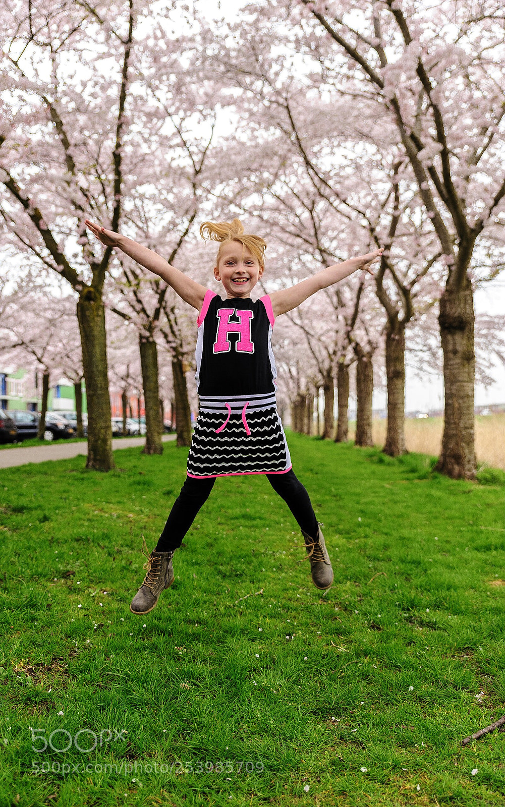 Nikon D700 sample photo. Spring is in the photography