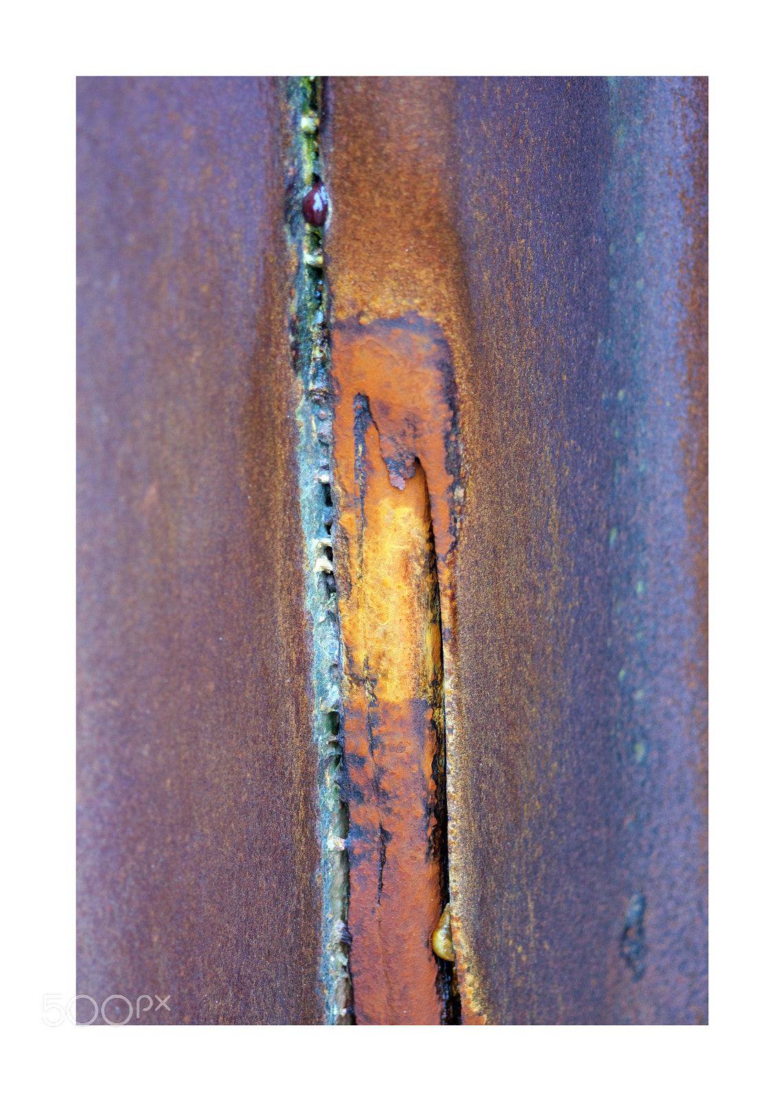 Nikon D7200 sample photo. Rust: samphire hoe photography