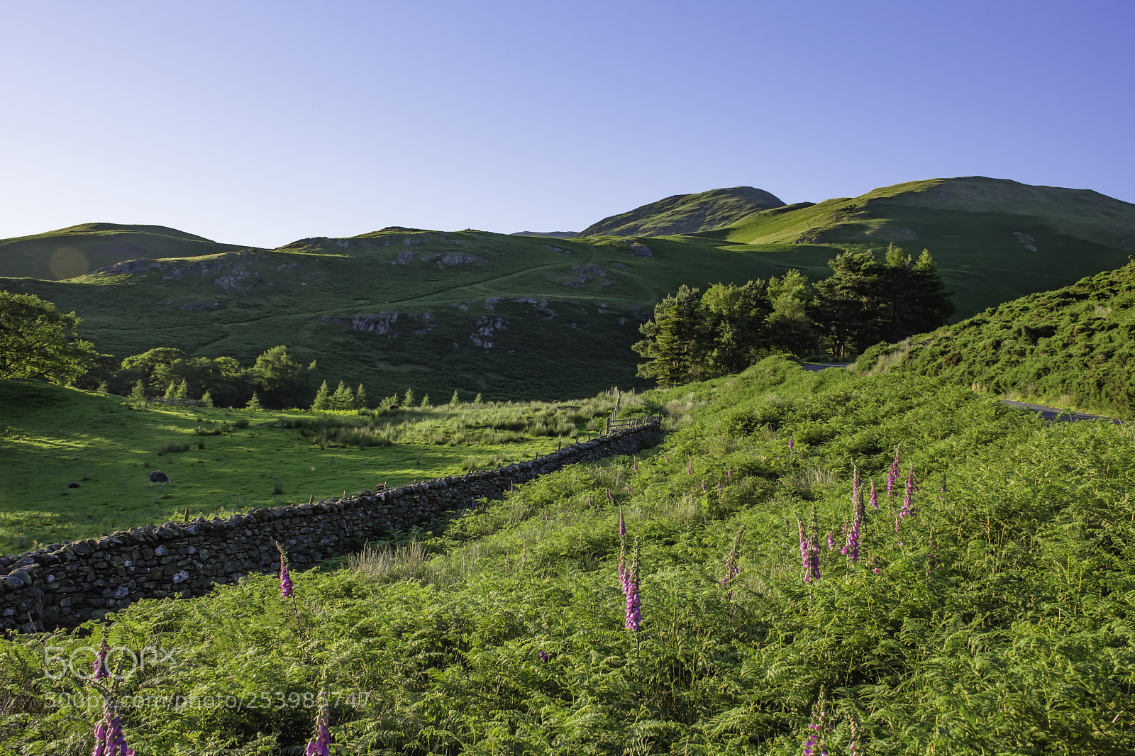 Nikon D7200 sample photo. Lake district in spring. photography