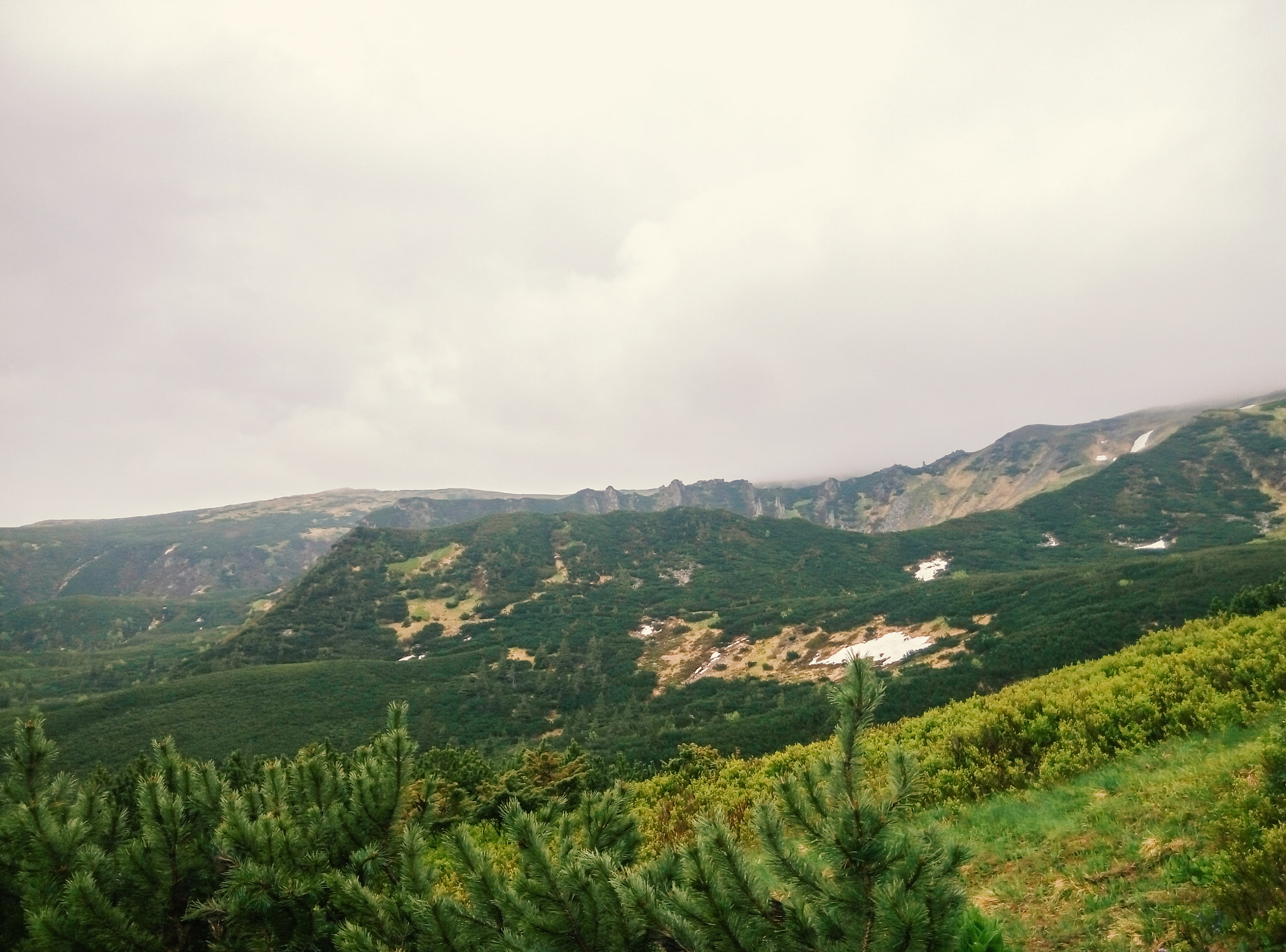 Meizu m2 sample photo. Looking at mt.rebra photography
