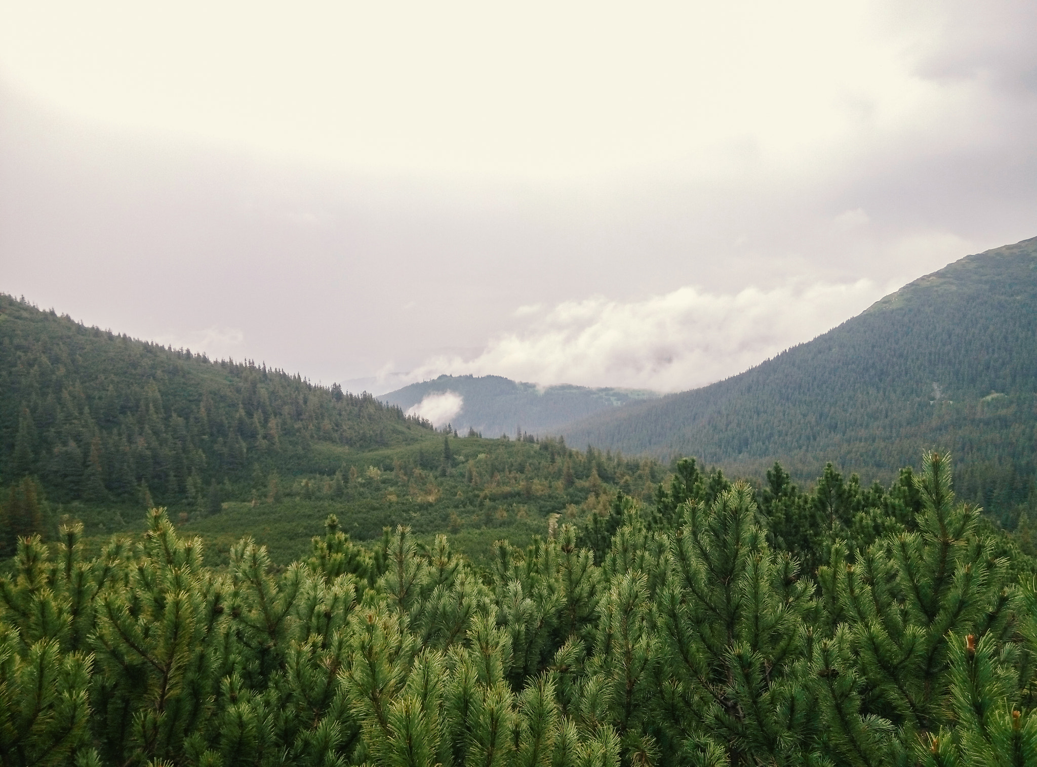 Meizu m2 sample photo. Nearby nesamovyte lake photography