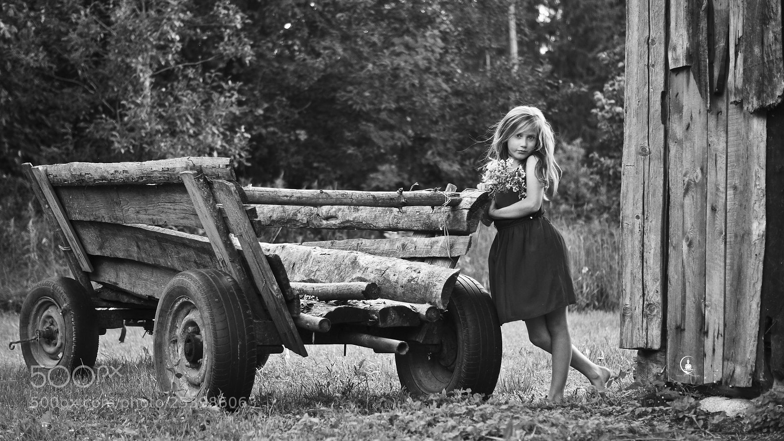 Sony SLT-A77 sample photo. Fairytale photography