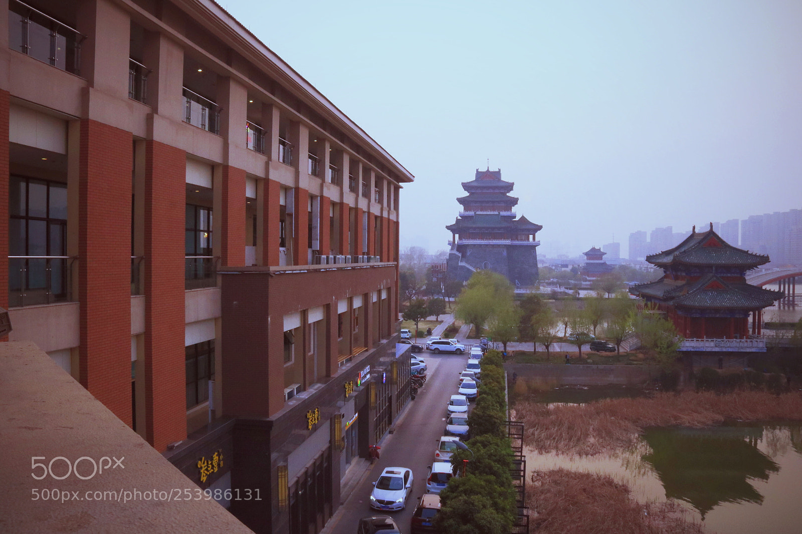 Canon EOS 760D (EOS Rebel T6s / EOS 8000D) sample photo. Untitled photography
