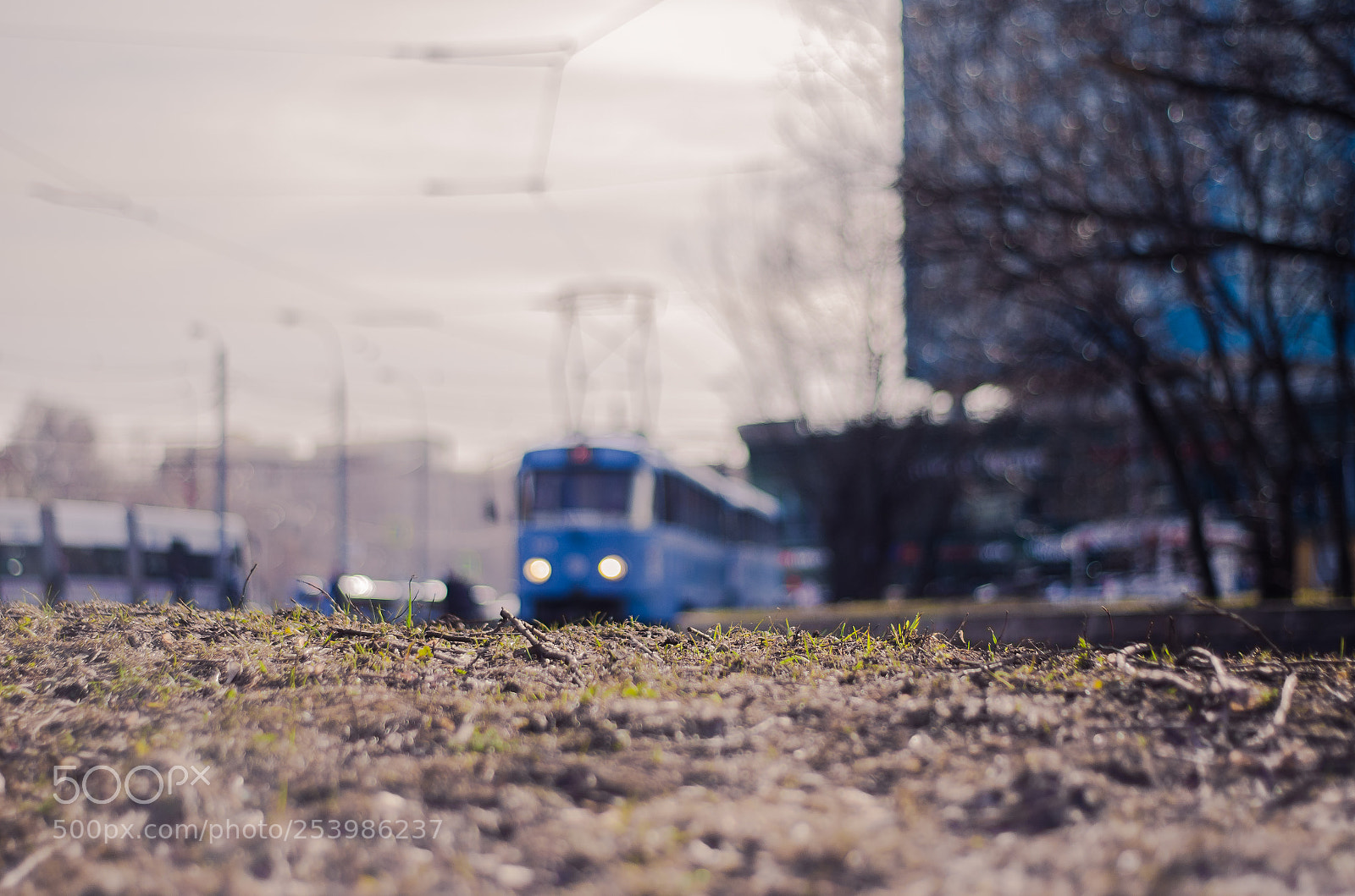 Nikon D5100 sample photo. Весна в Щукино / spring at shchukino photography