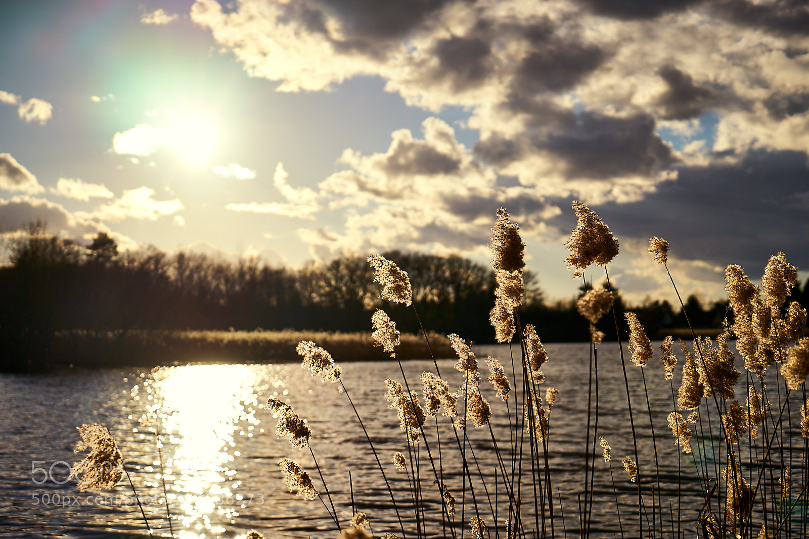Sony a7 sample photo. Sologne iii - the photography