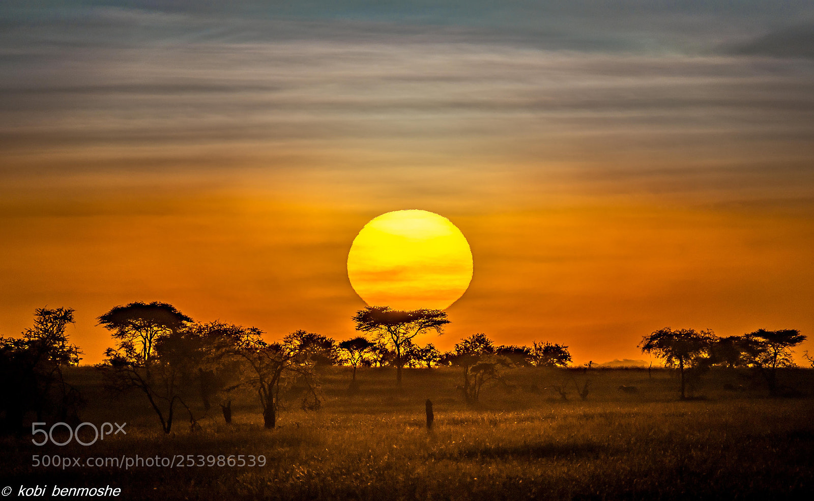 Nikon D800 sample photo. Sunset @ seregenti photography
