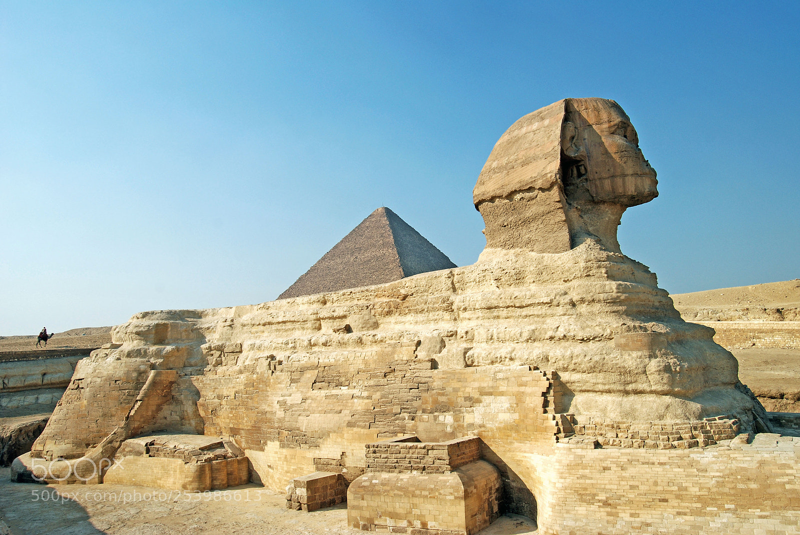 Nikon D80 sample photo. Giza. photography