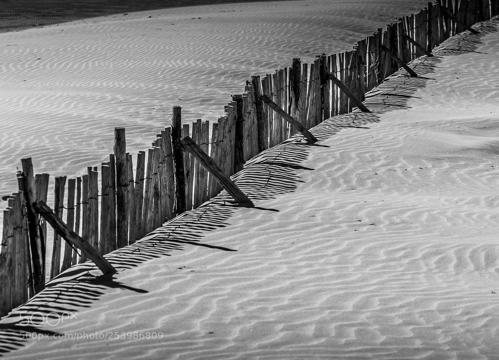Nikon D810 sample photo. Lines i photography