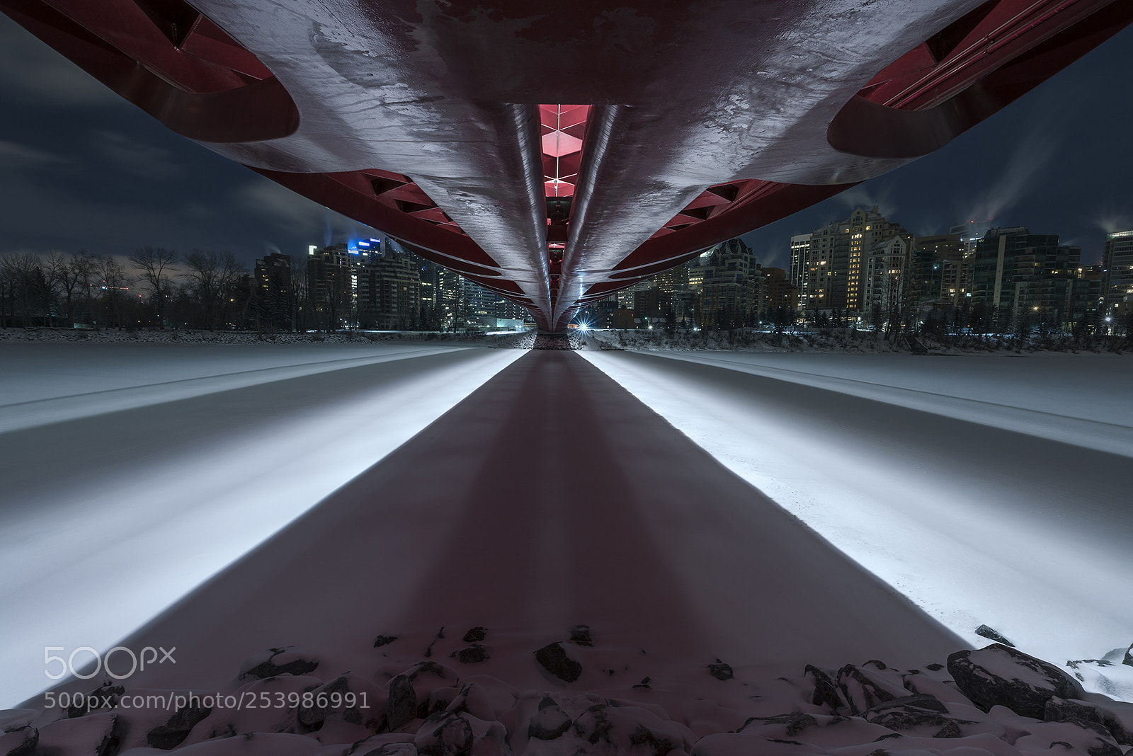Nikon D810 sample photo. Peace bridge at night photography