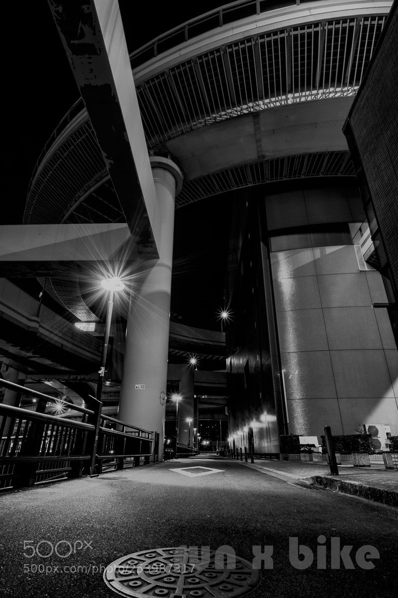 Nikon D5300 sample photo. Night walk photography