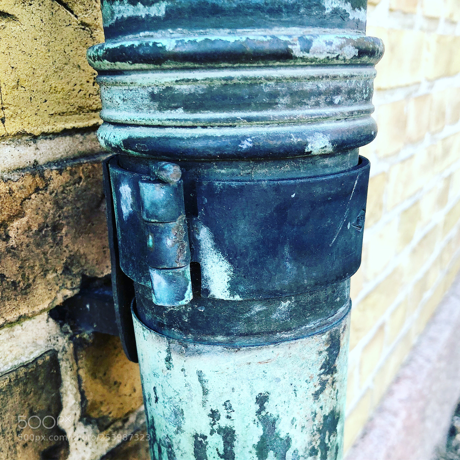 Apple iPhone 8 Plus sample photo. Beautiful colours photography