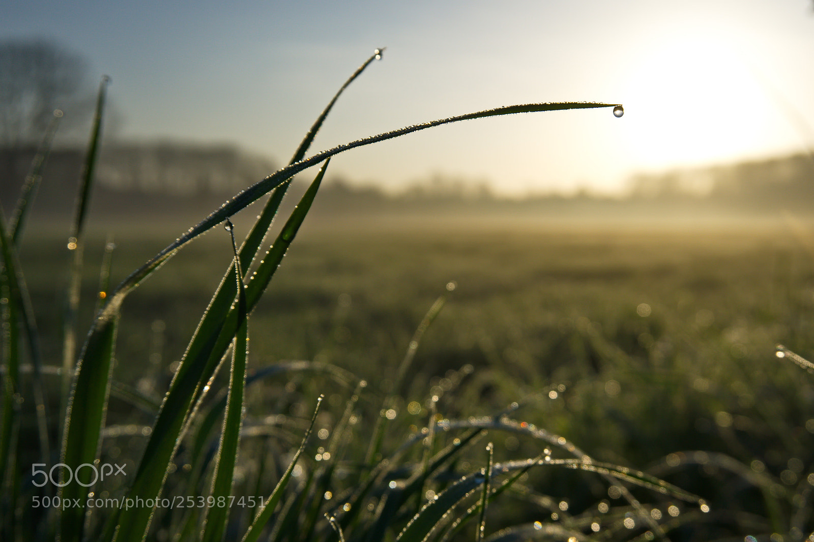 Sony a6000 sample photo. Misty morning photography