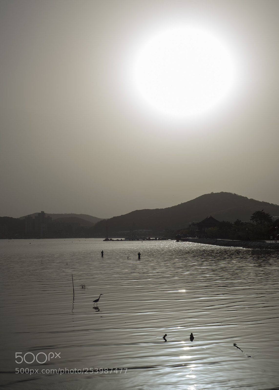 Nikon D810 sample photo. In a sea 4		 photography