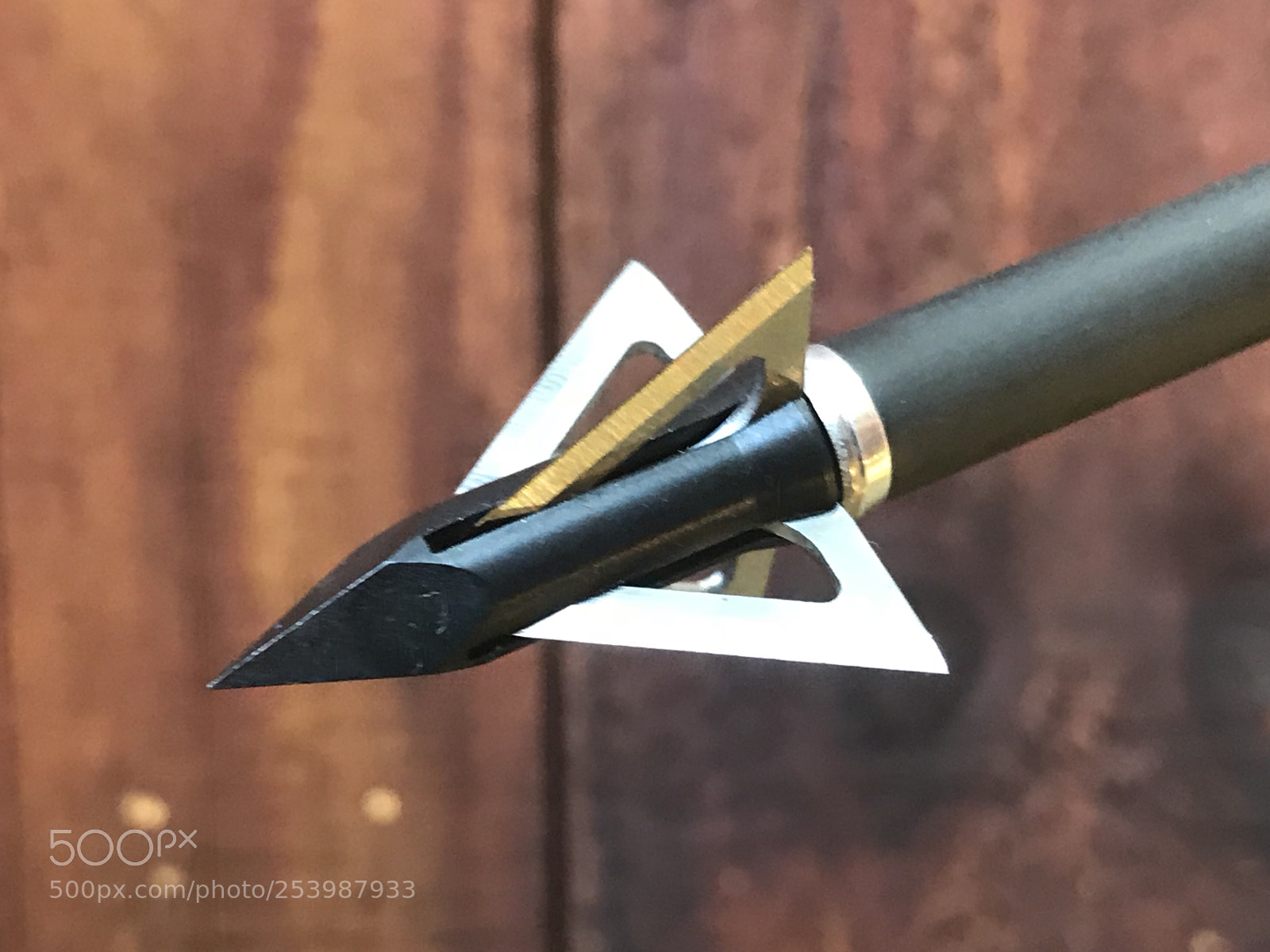 Apple iPhone 7 Plus sample photo. Hunting broadhead 20180414 photography