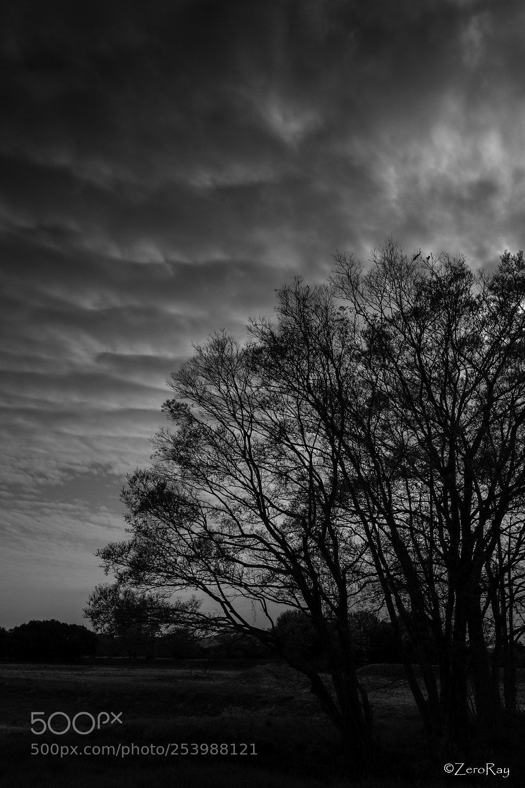 Canon EOS-1D X Mark II sample photo. World heritage photography