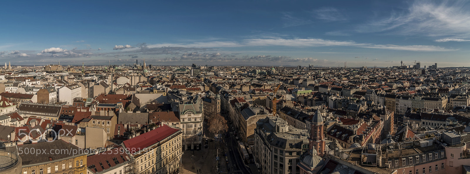 Nikon D90 sample photo. The viennese roofs (2) photography