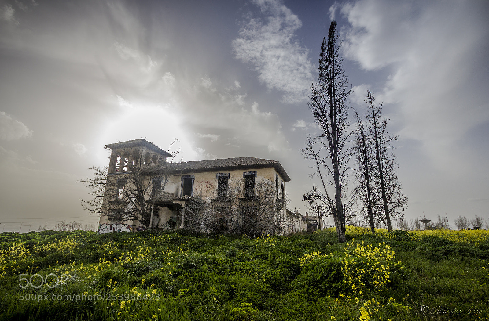 Canon EOS 550D (EOS Rebel T2i / EOS Kiss X4) sample photo. Spring & abandoned house (iii) photography