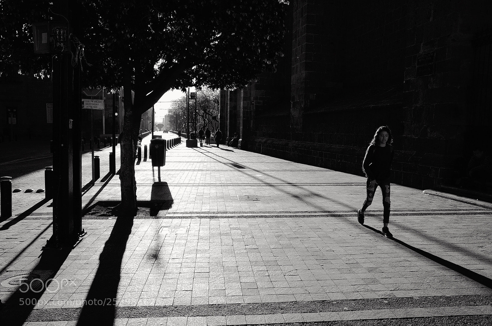 Ricoh GR II sample photo. I know you're gone  photography