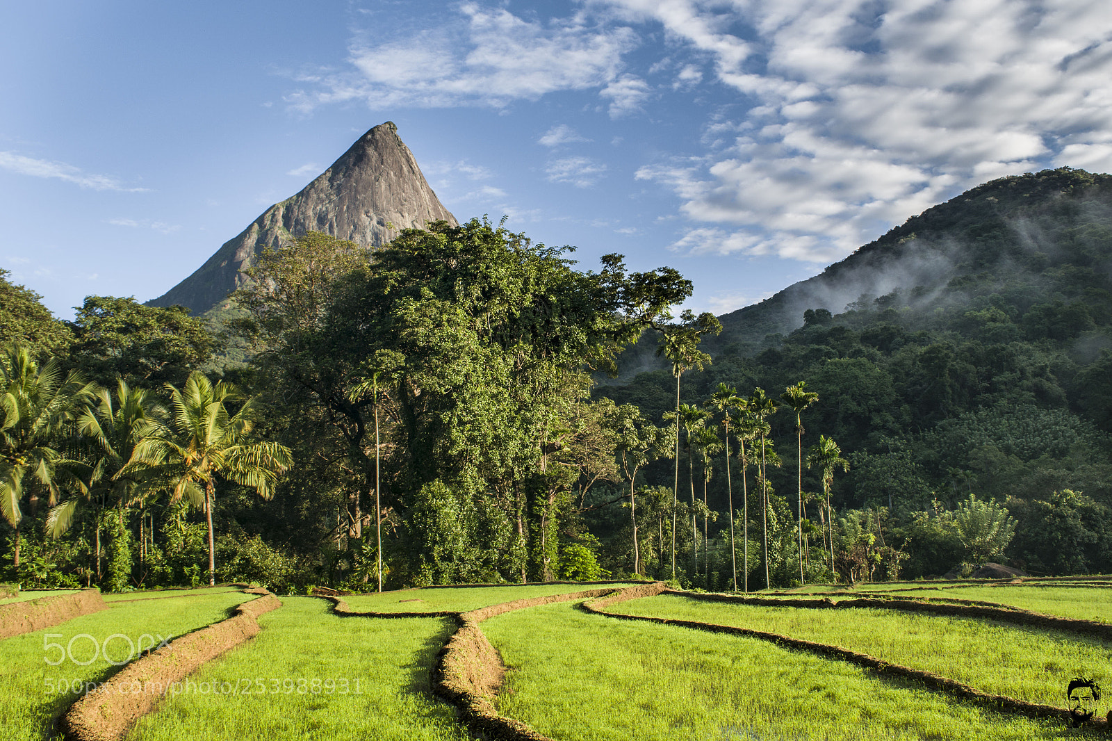 Nikon D3300 sample photo. Meemure , srilanka photography