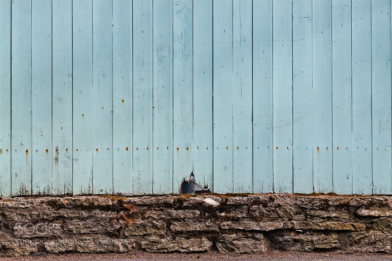 Canon EOS 50D sample photo. Crack in the fence photography