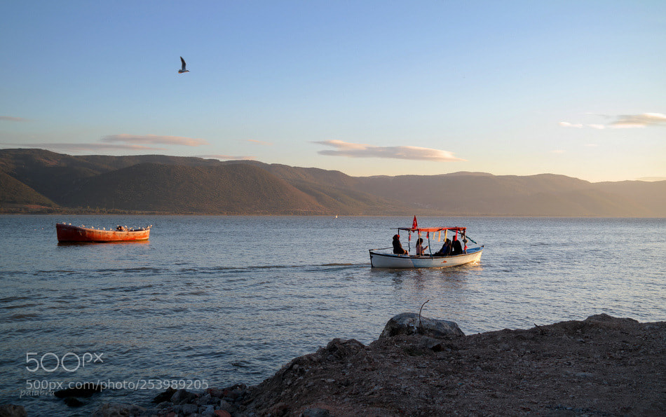 Samsung NX30 sample photo. ... photography