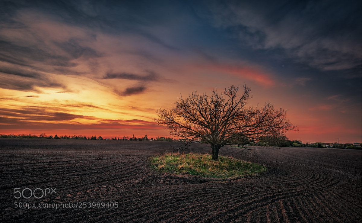 Nikon D810 sample photo. Sunset photography