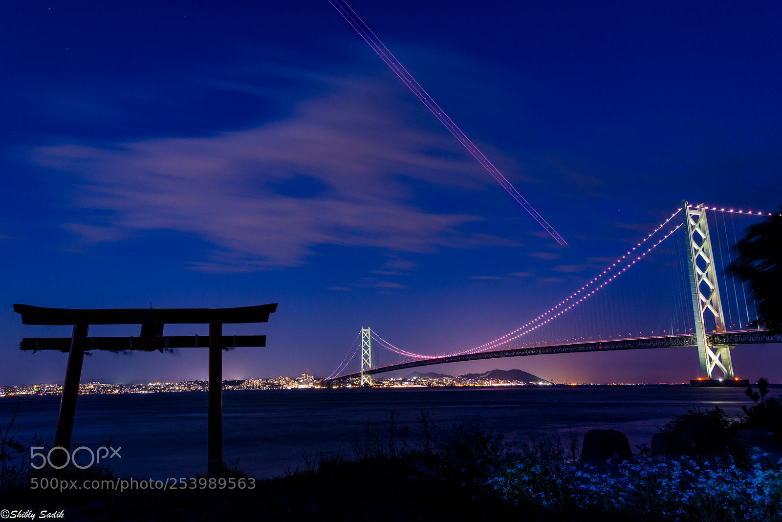 Nikon D610 sample photo. Twilight view of the photography