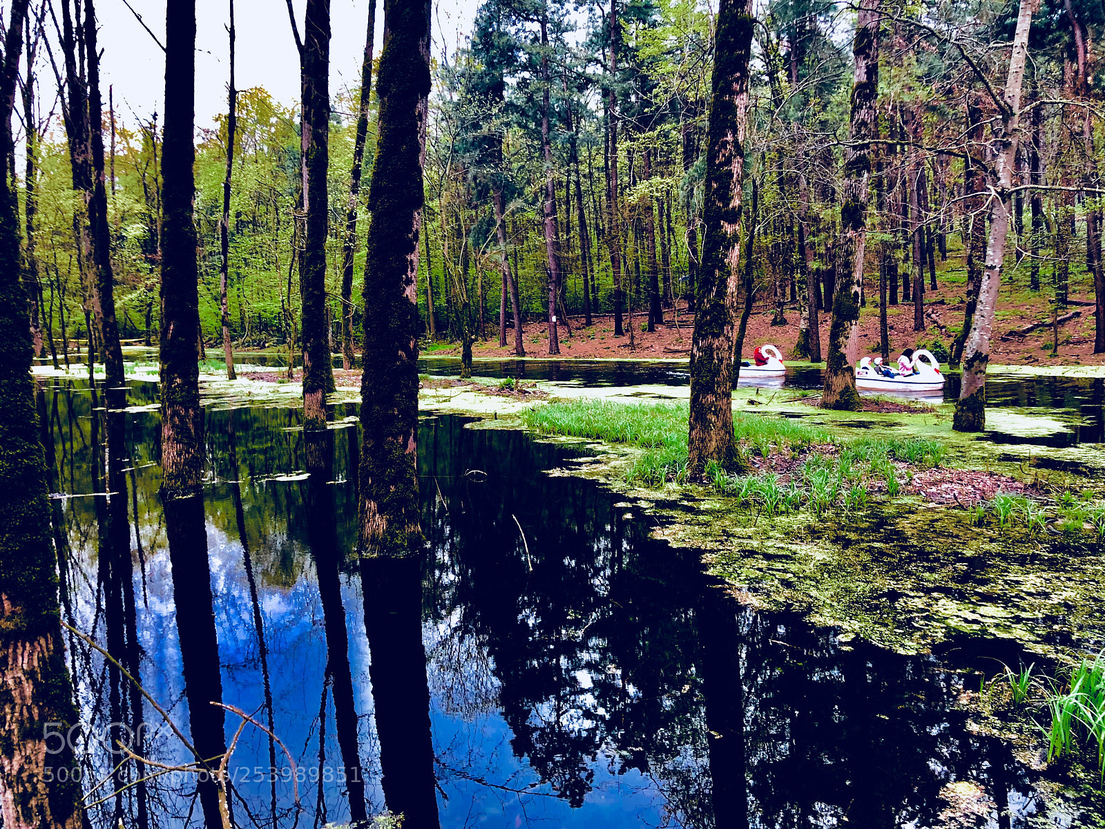 Apple iPhone X sample photo. Scenery  photography