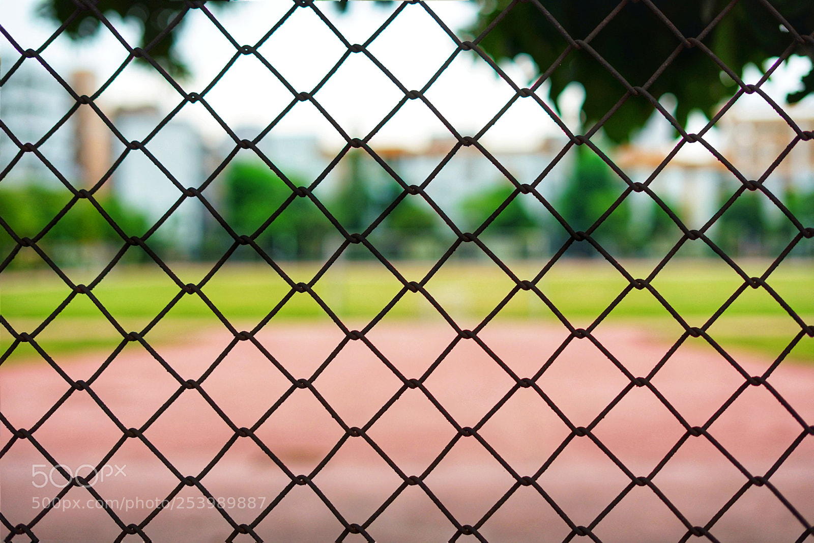 Sony a7 II sample photo. School photography