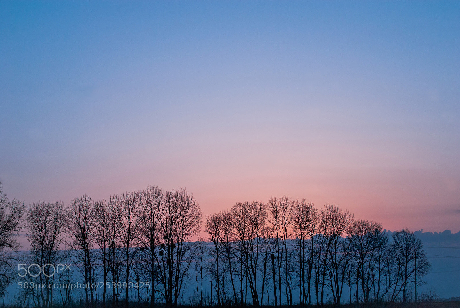 Nikon D200 sample photo. At sunset home photography