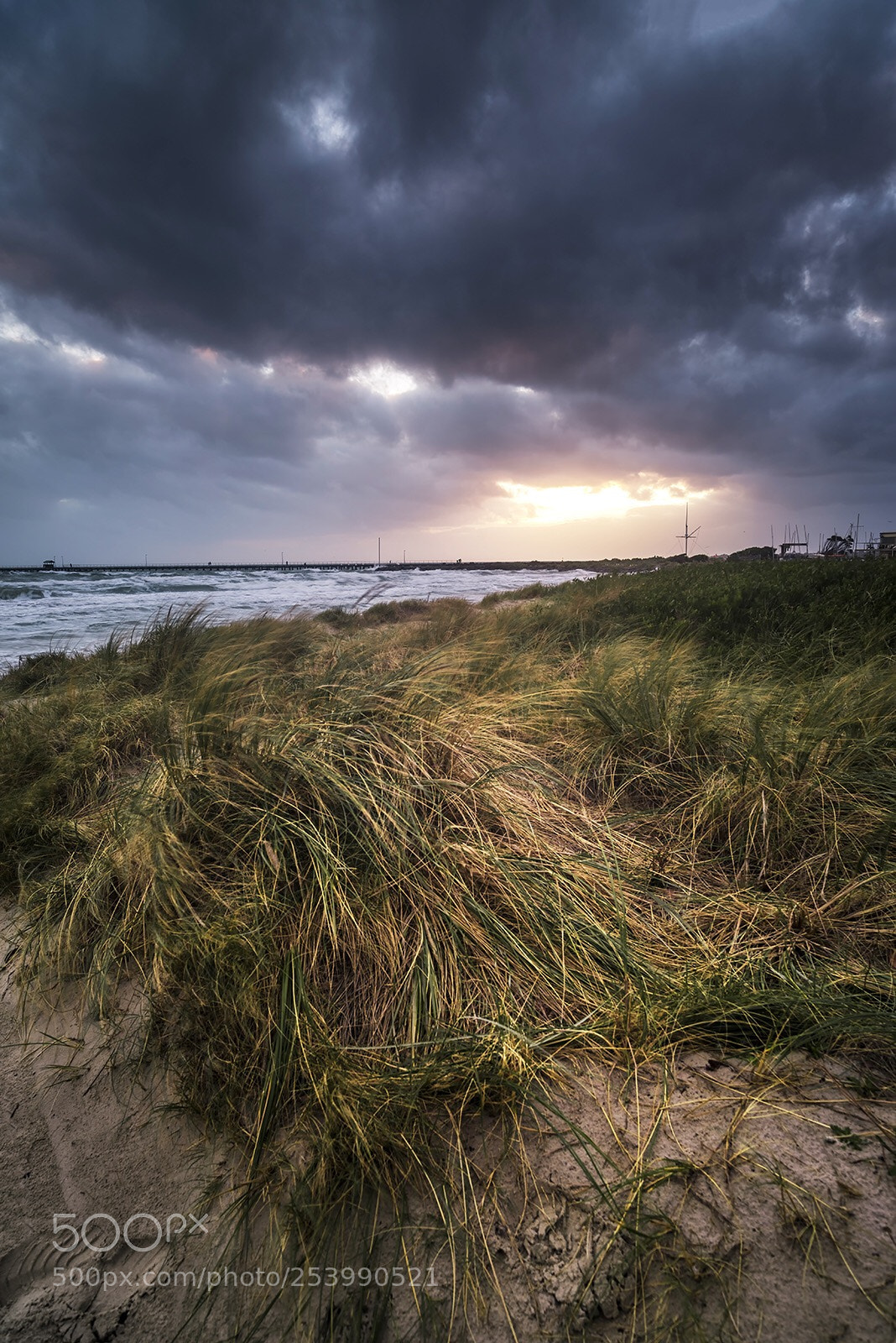 Nikon D810 sample photo. Beach  photography