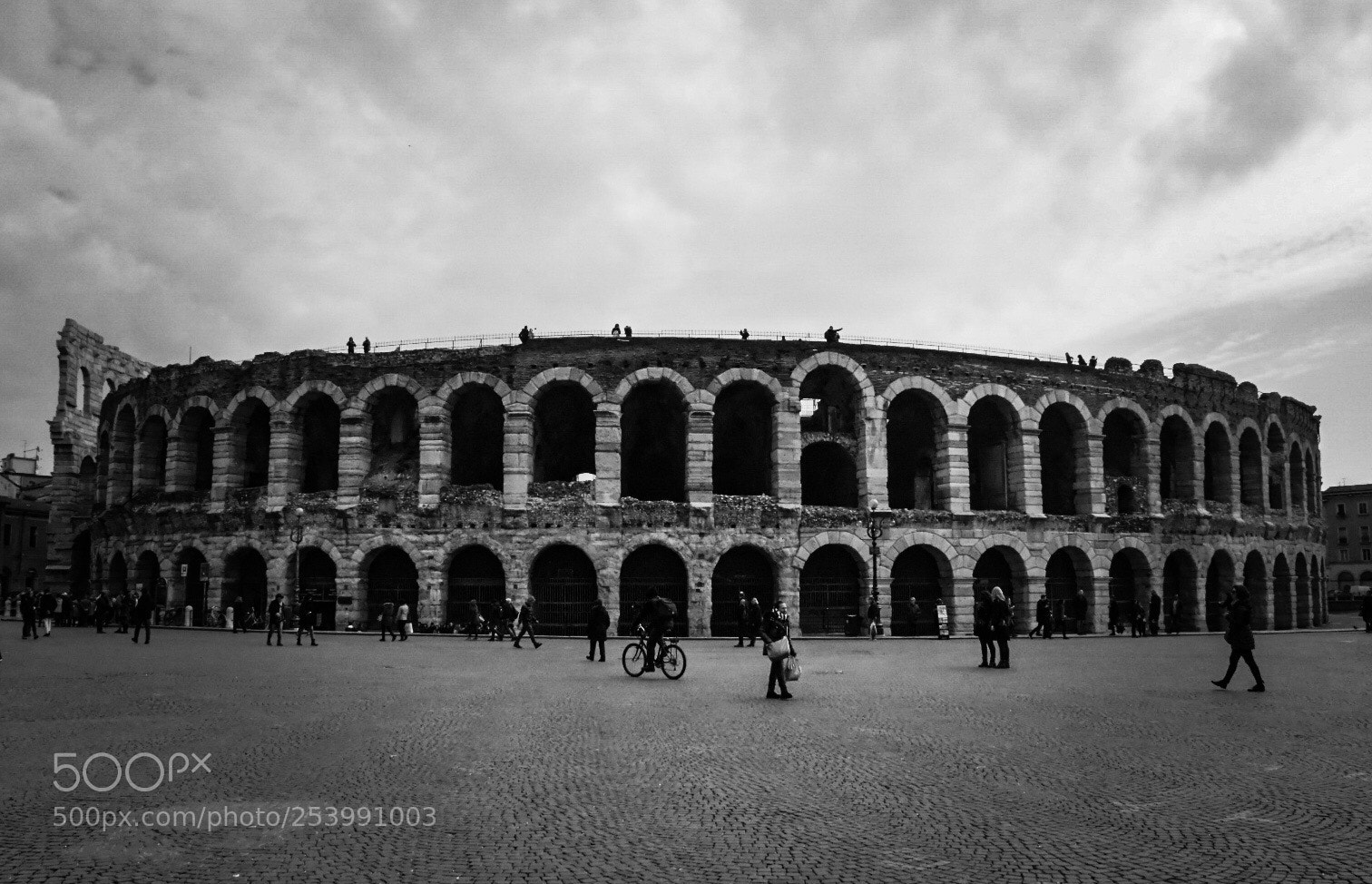Nikon D5600 sample photo. Verona arena photography