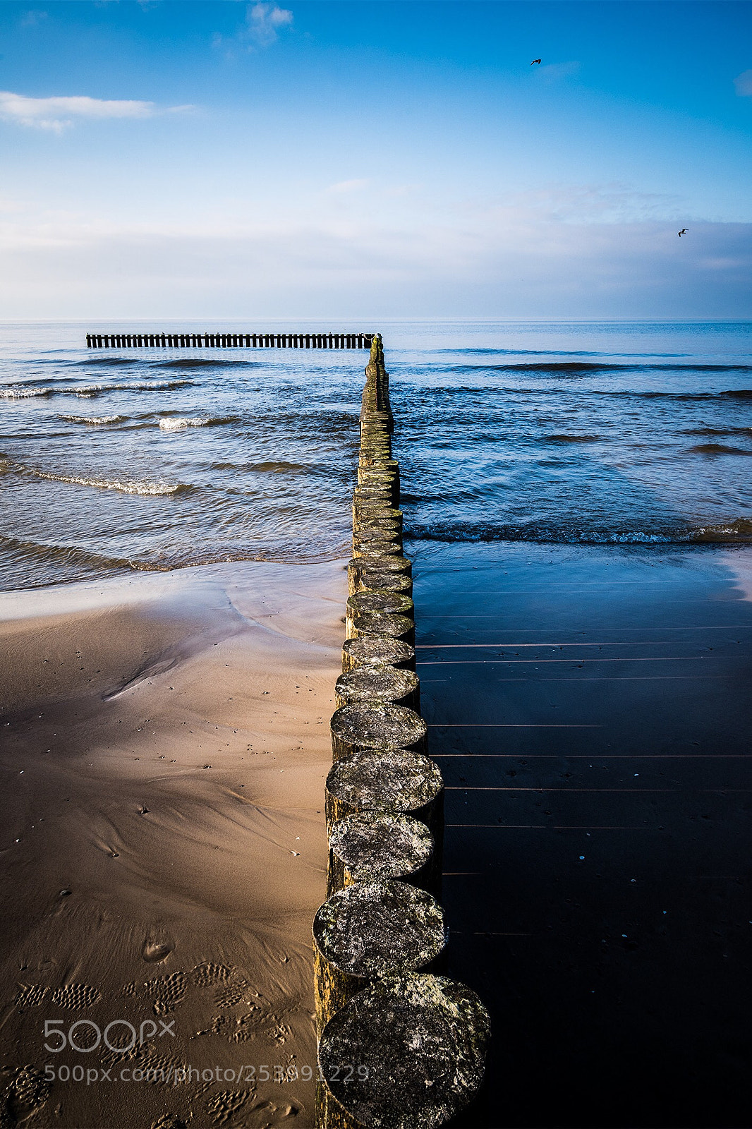 Nikon D800 sample photo. Eastcoast  photography