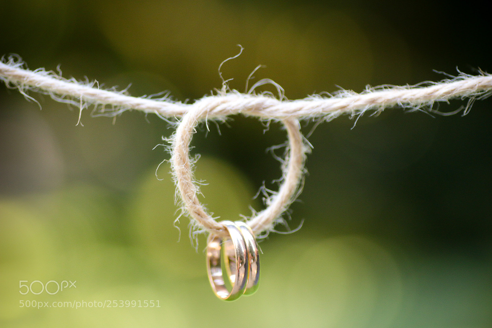 Canon EOS 70D sample photo. Shooting v&l photography