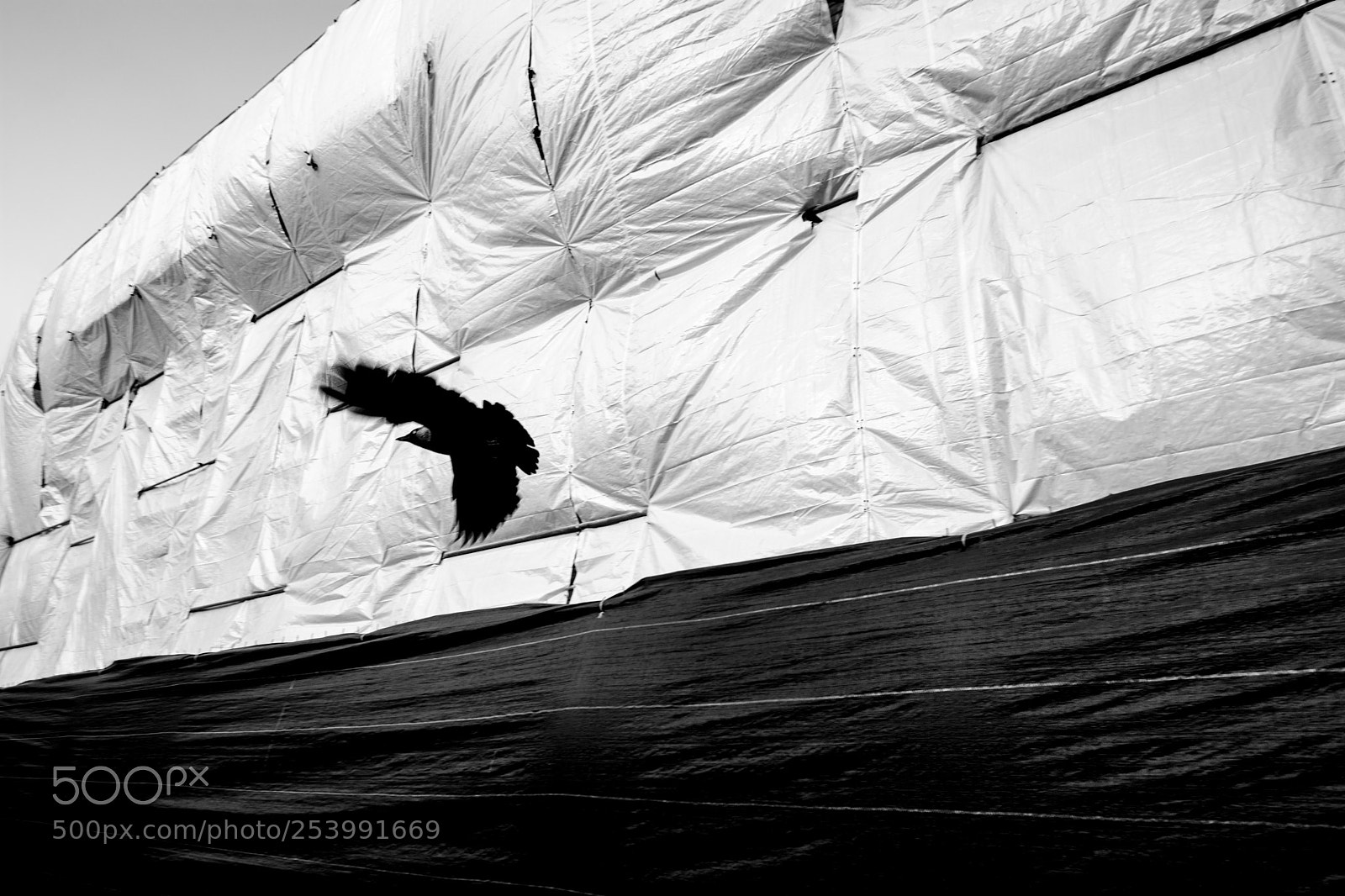 Nikon D7100 sample photo. Escape. photography