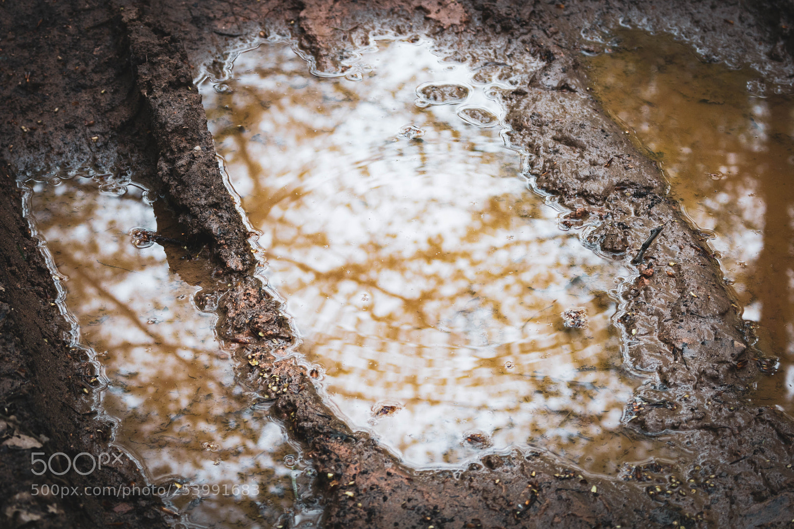 Canon EOS 750D (EOS Rebel T6i / EOS Kiss X8i) sample photo. Track photography