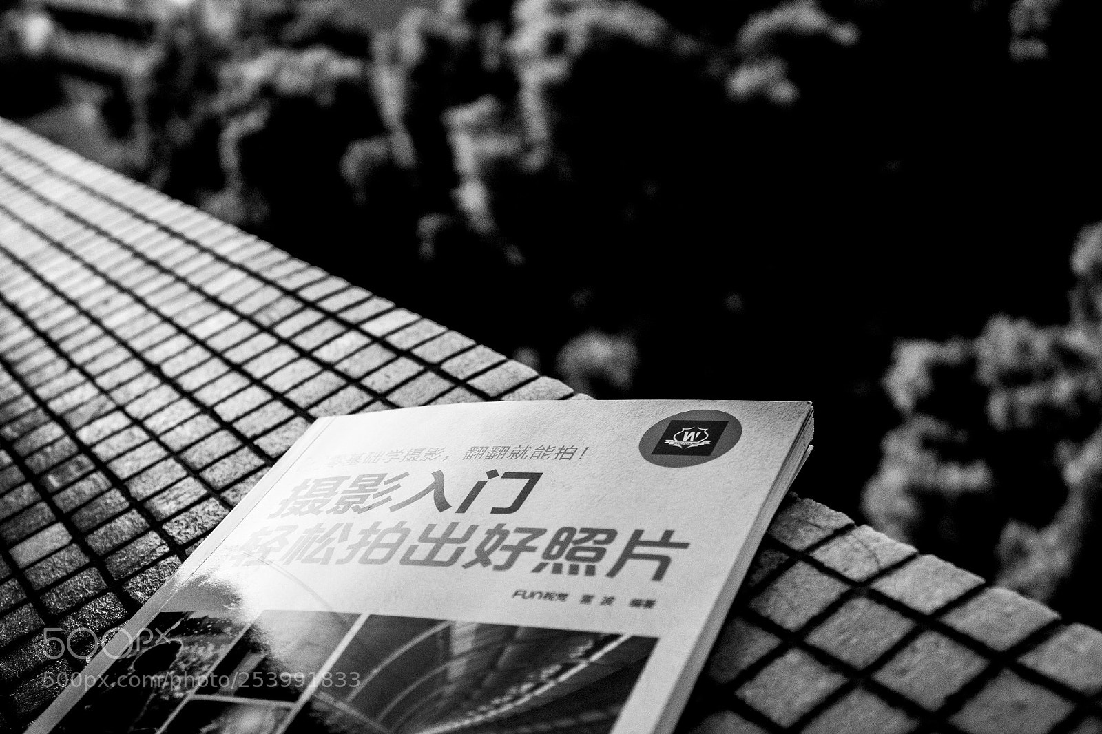 Canon EOS 1300D (EOS Rebel T6 / EOS Kiss X80) sample photo. Untitled photography