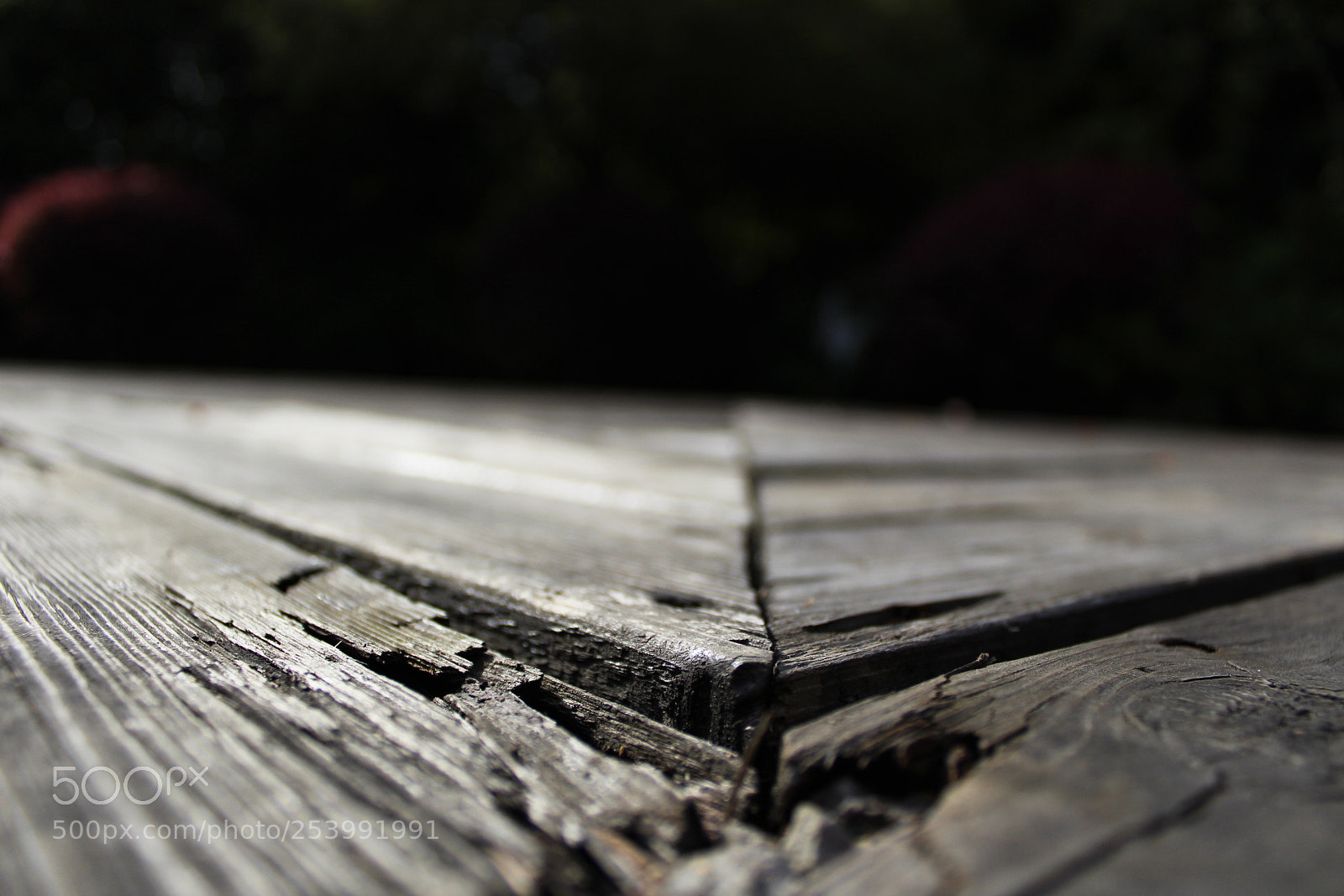 Canon EOS 1300D (EOS Rebel T6 / EOS Kiss X80) sample photo. Wood photography