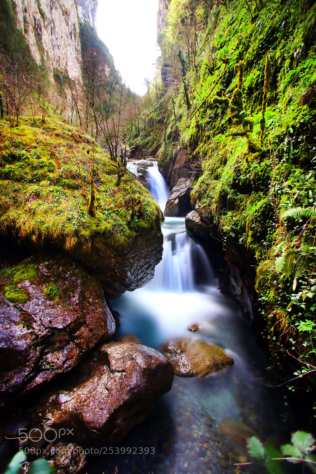 Canon EOS 80D sample photo. Cascade dans les gorges photography