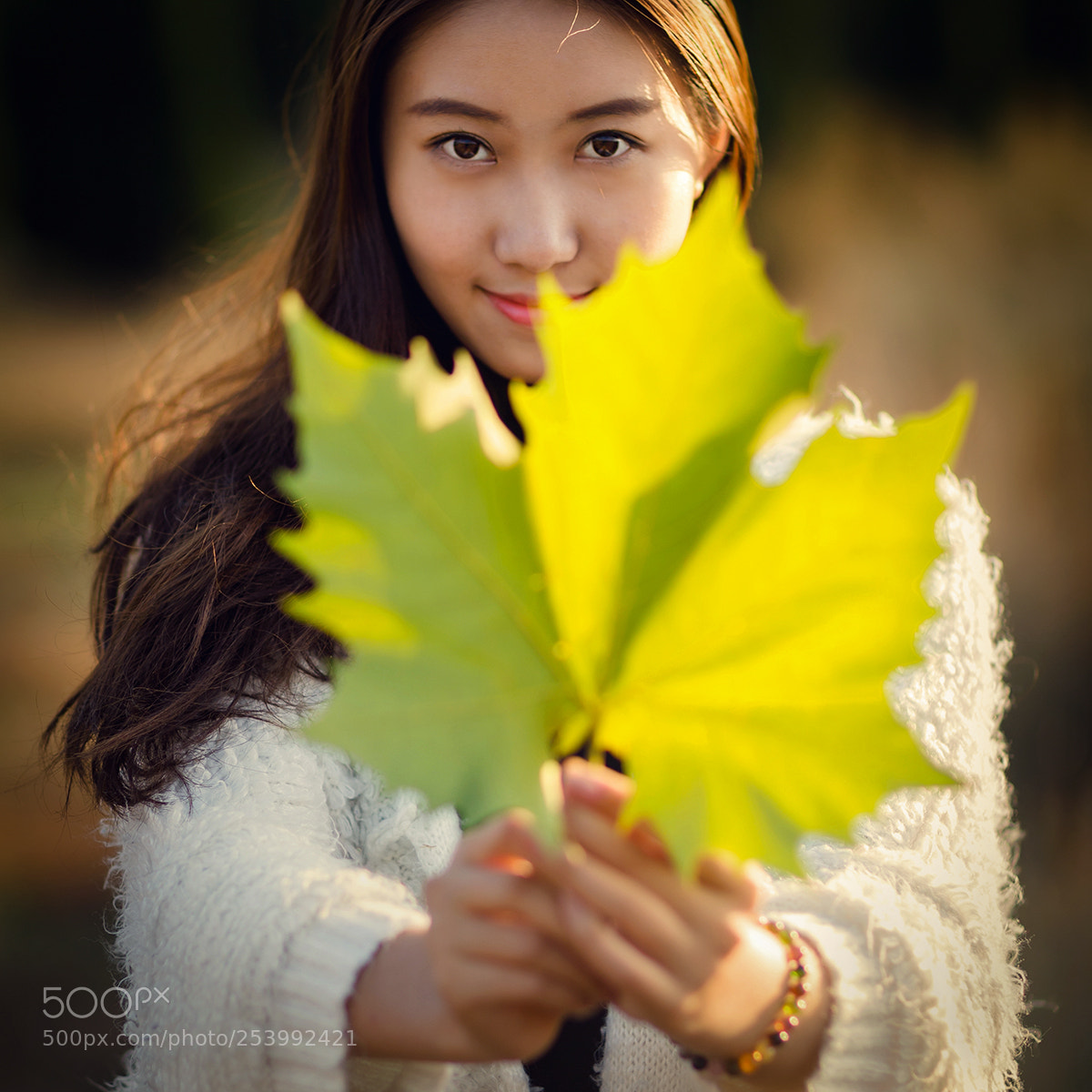 Canon EOS-1D X sample photo. The green leaves of photography