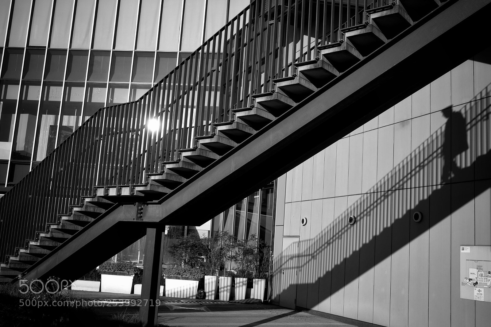 Fujifilm X-T2 sample photo. The walking shadow photography