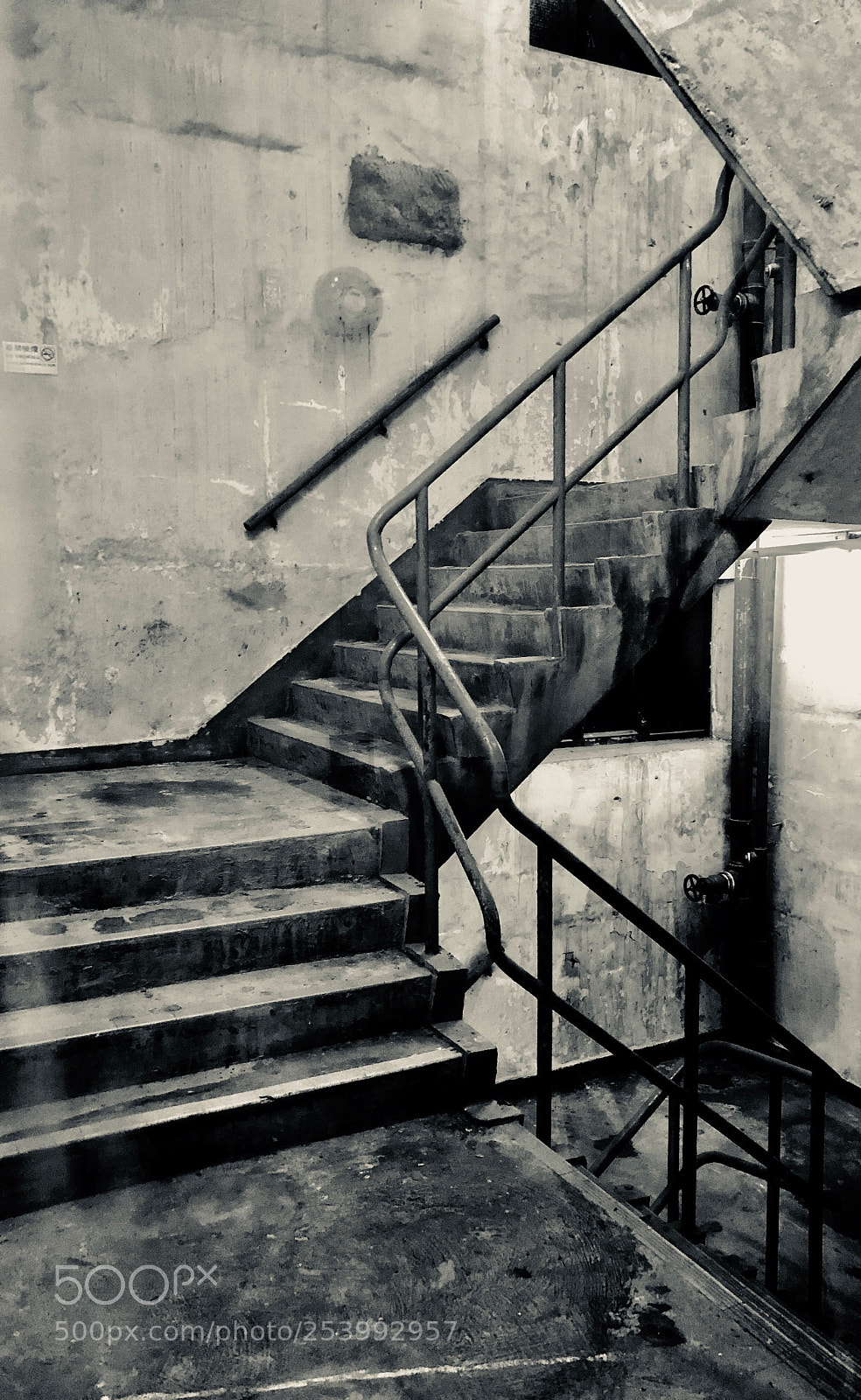 Apple iPhone 8 Plus sample photo. Untitled photography