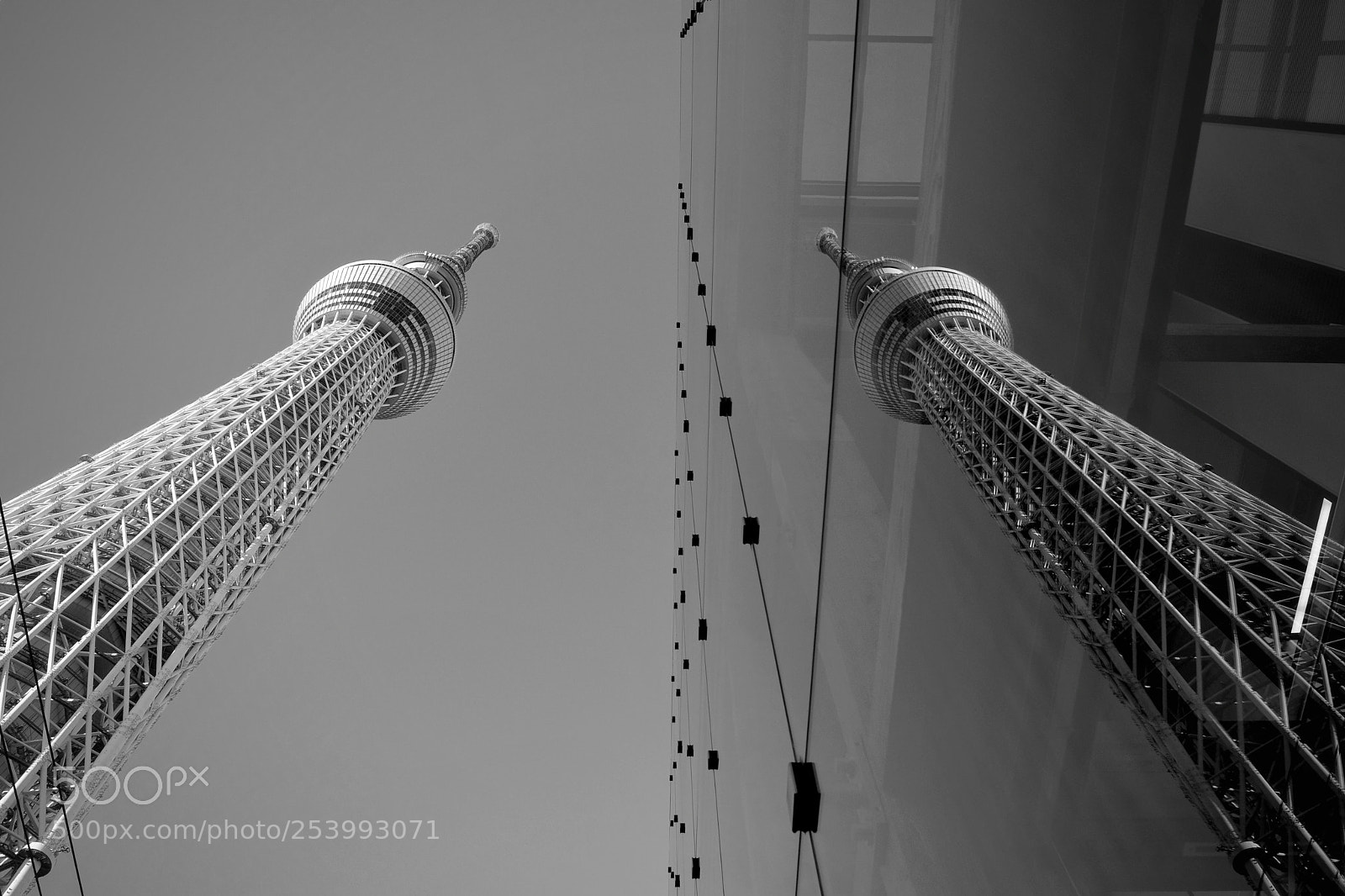 Fujifilm X-T2 sample photo. Twins sky tree photography