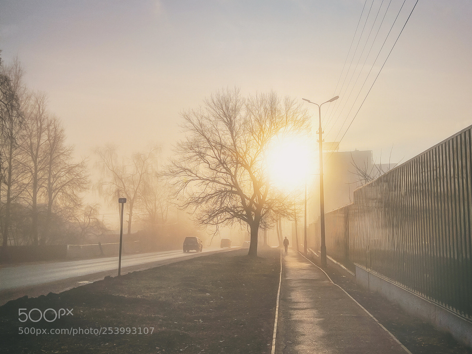 Xiaomi Redmi Note 4 sample photo. Morning photography