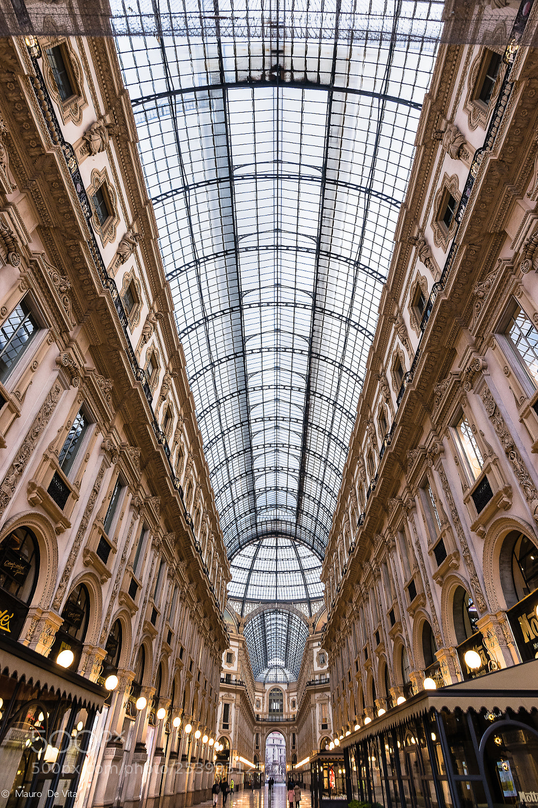 Nikon D5300 sample photo. In galleria photography