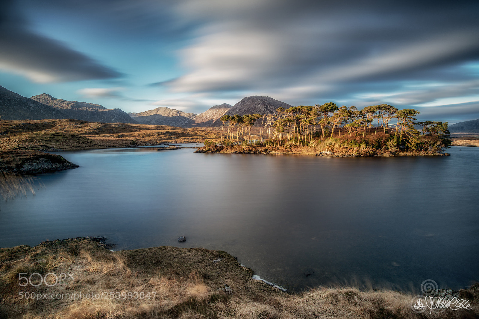 Nikon D850 sample photo. Pine island, derryclare, connemara photography