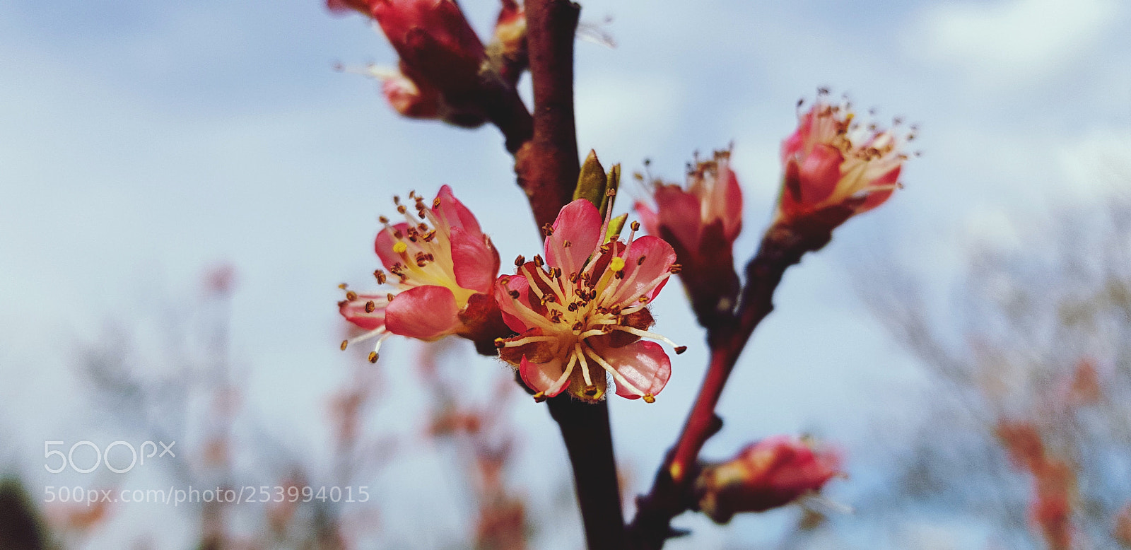 Samsung Galaxy S8+ sample photo. Untitled photography