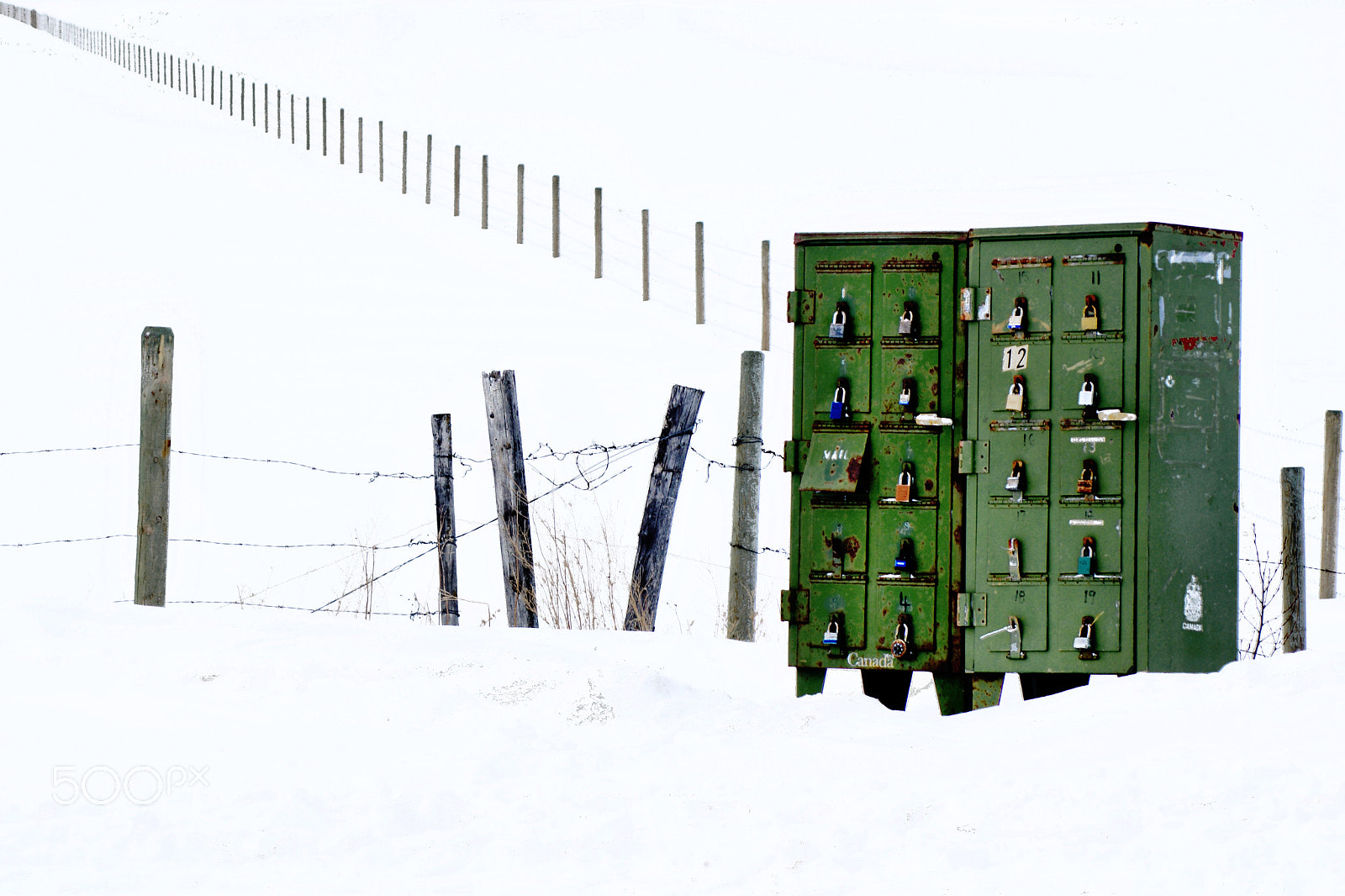 Sony 75-300mm F4.5-5.6 sample photo. You've got mail photography