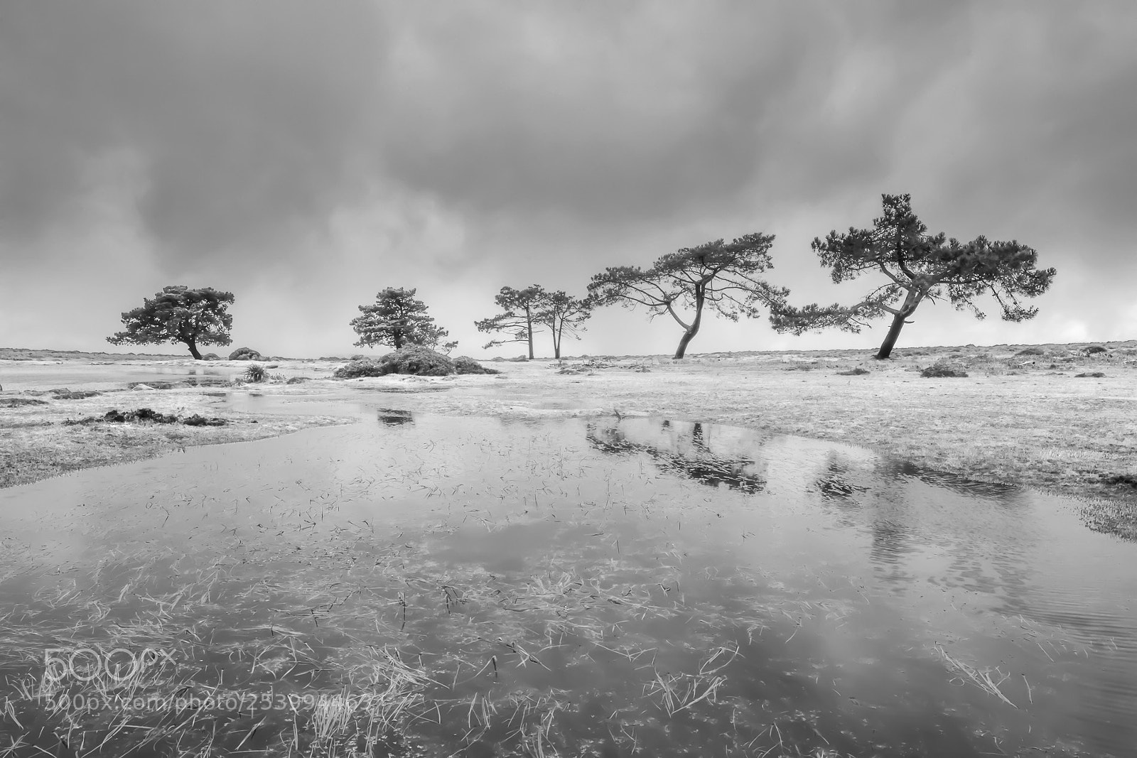 Nikon D7100 sample photo. Silent passage photography