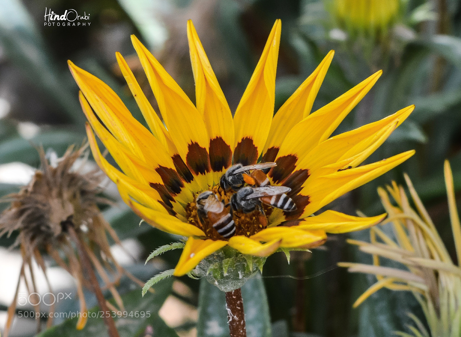 Nikon D3200 sample photo. ???? photography